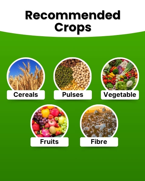 Katyayani N:P:K 19:19:19