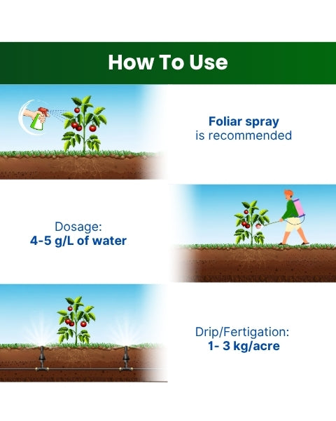 Katyayani N:P:K 19:19:19