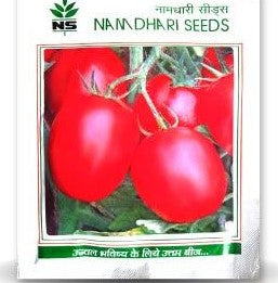 Tomato NS 5002 (1068) (Namdhari)