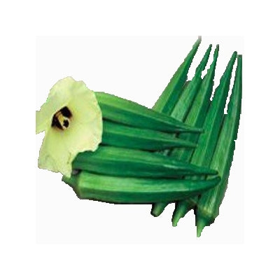 Okra / Lady Finger NS 862 250 grams (Namdhari)
