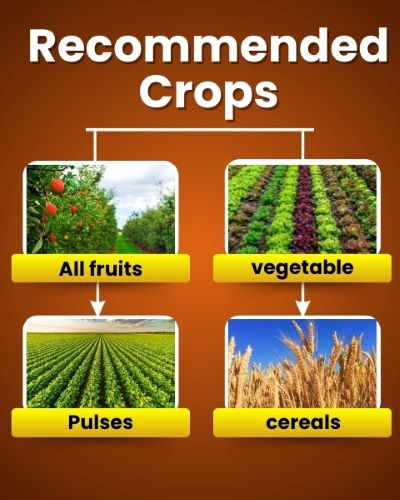 Katyayani Nutritious - Triacontanol 0.1% EW