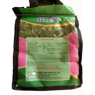 Neelam Sweet Sudan Grass