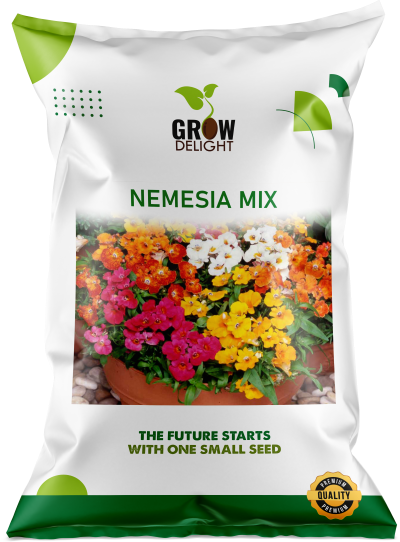 Grow Delight Imported Nemesia Mix - 600 seeds