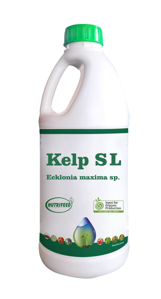 Nutrifeed Kelp SL - Biostimulant