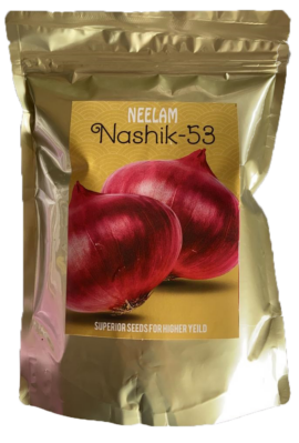 Onion Neelam Nashik-53
