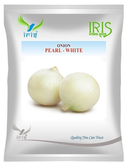 Onion OP Iris Pearl White