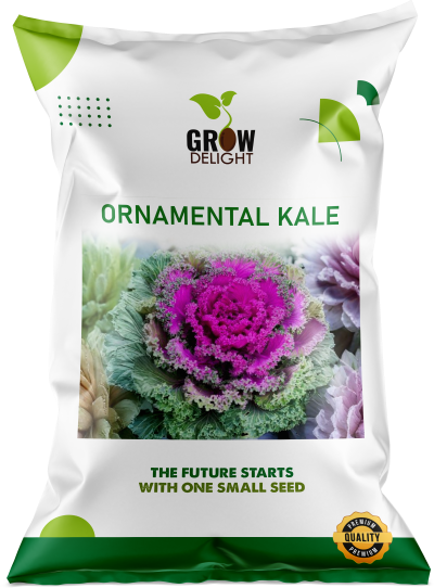 Grow Delight Imported Ornamental Kale - 600 seeds