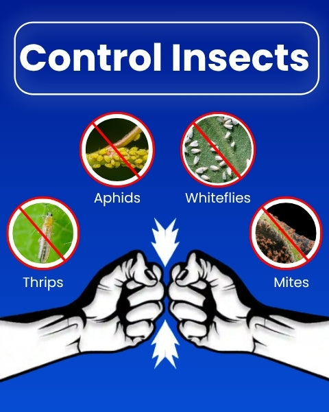 Katyayani Ozil - Spiromesifen 22.9% SC