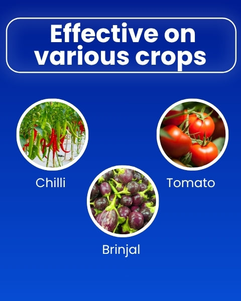 Katyayani Ozil - Spiromesifen 22.9% SC