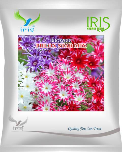 Iris Imported OP Phlox Star Mix 300+ Seeds