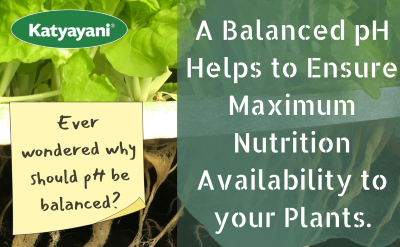 Katyayani pH UP for Hydroponics