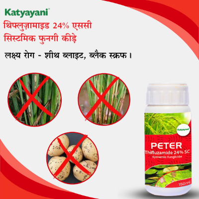 Katyayani Peter - Thifluzamide 24% SC