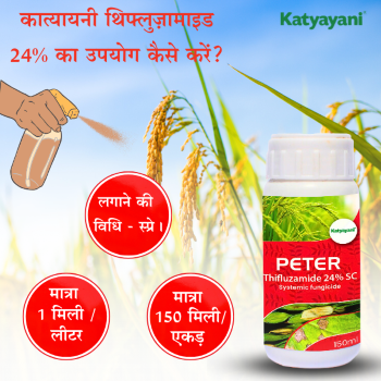 Katyayani Peter - Thifluzamide 24% SC