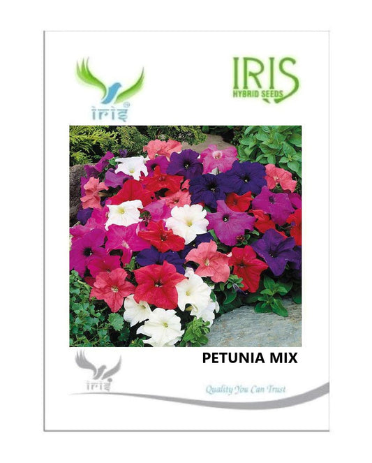 Iris Imported Petunia Mix 900 Seeds