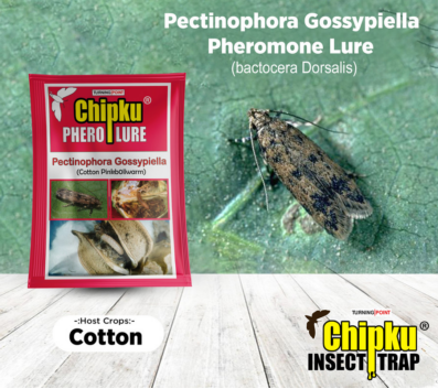 Chipku Pheromone Funnel Trap with Pink Bollworm Lure (Combo Pack of 10)