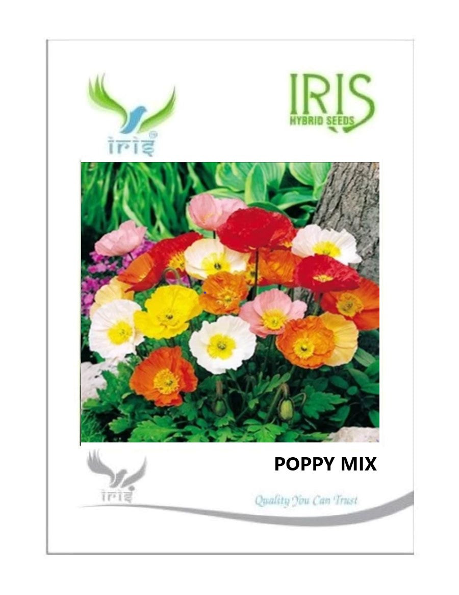 Iris Imported Poppy Mix 750 Seeds