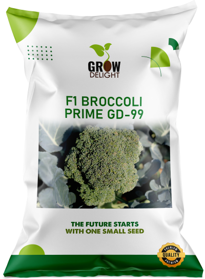 Grow Delight F1 Broccoli Prime GD-99