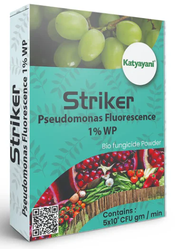 Katyayani Striker - Pseudomonas Fluorescence - Bio Fungicide