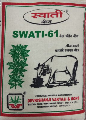 Fodder Rajka Swati-61