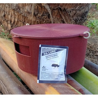 Chipku-Bucket Trap for Rhinoceros Beetle- 1 trap 1 Lure