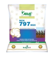 Cotton Rasi RCH 797 BG II