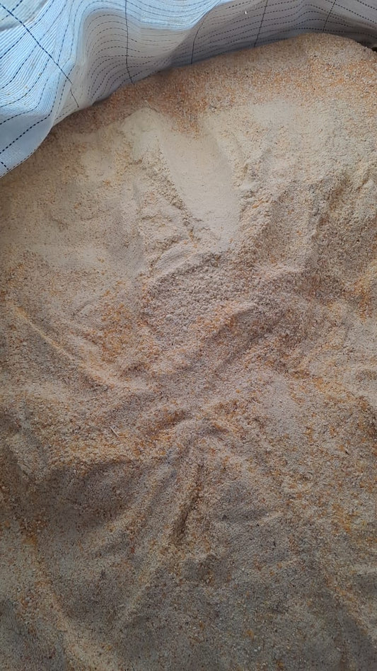 Paragon Robust Meal Ration (RMR) Makai Bhardo 40 Kg