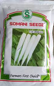 Radish F1 Cross-X-35 - 100 grams (Somani Seedz)
