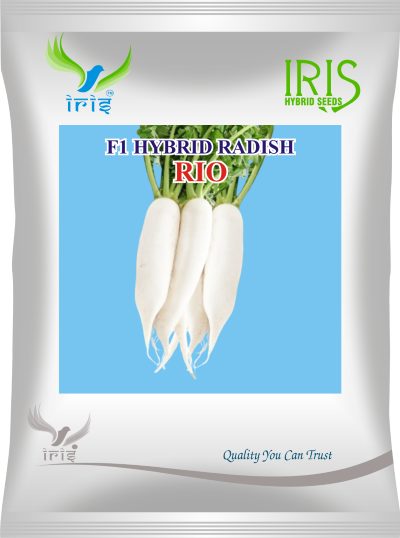 Radish F1 Iris Rio 50 grams