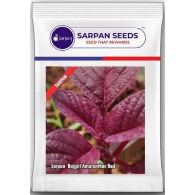 Amaranthus / Rajgiri Sarpan Red