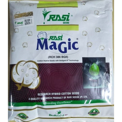 Cotton Rasi MAGIC (RCH 386 BG II)