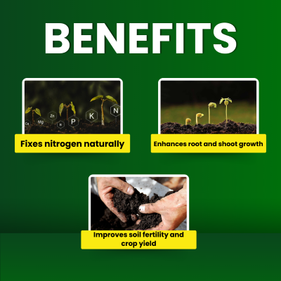 Katyayani Rhizogen - Rhizobium spp | Nitrogen Fixing Biofertilizer