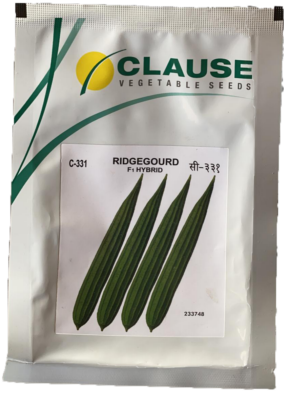 RidgeGourd / Turai C-331