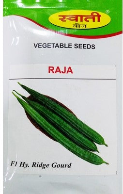 RidgeGourd / Turai Raja