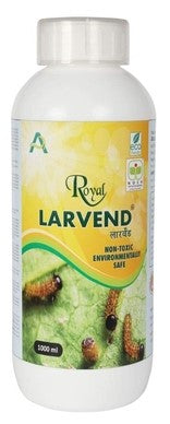 Royal Larvend