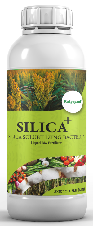 Katyayani Silica+ | Silica Solubilizing Bacteria
