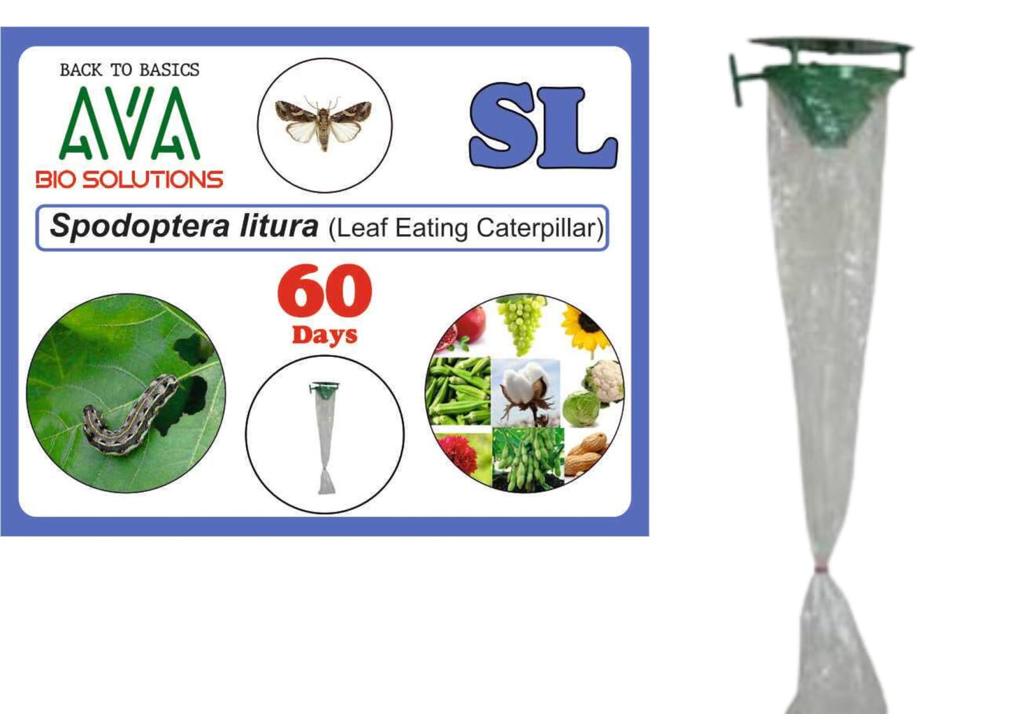 Ava Combo Pack of Funnel Pheromone Trap + SL Lure