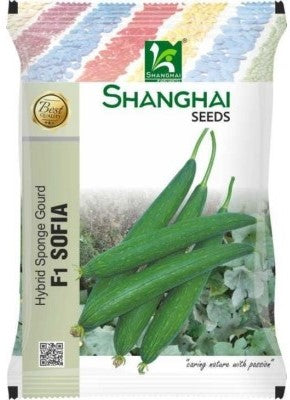 SpongeGourd / Galki F1 Sofia