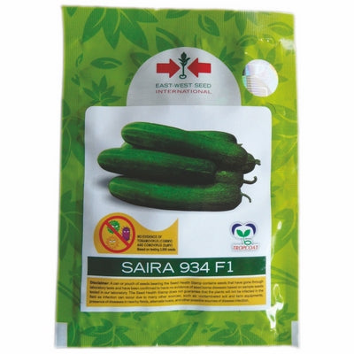 Cucumber Saira 934