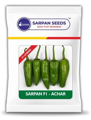 Chilli / Hot Pepper Sarpan F1 Achar