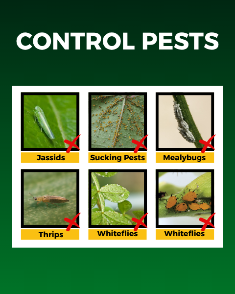 Katyayani Sarvashakti - Organic Pesticide