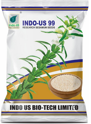 Seasamum / Til Indo US 99