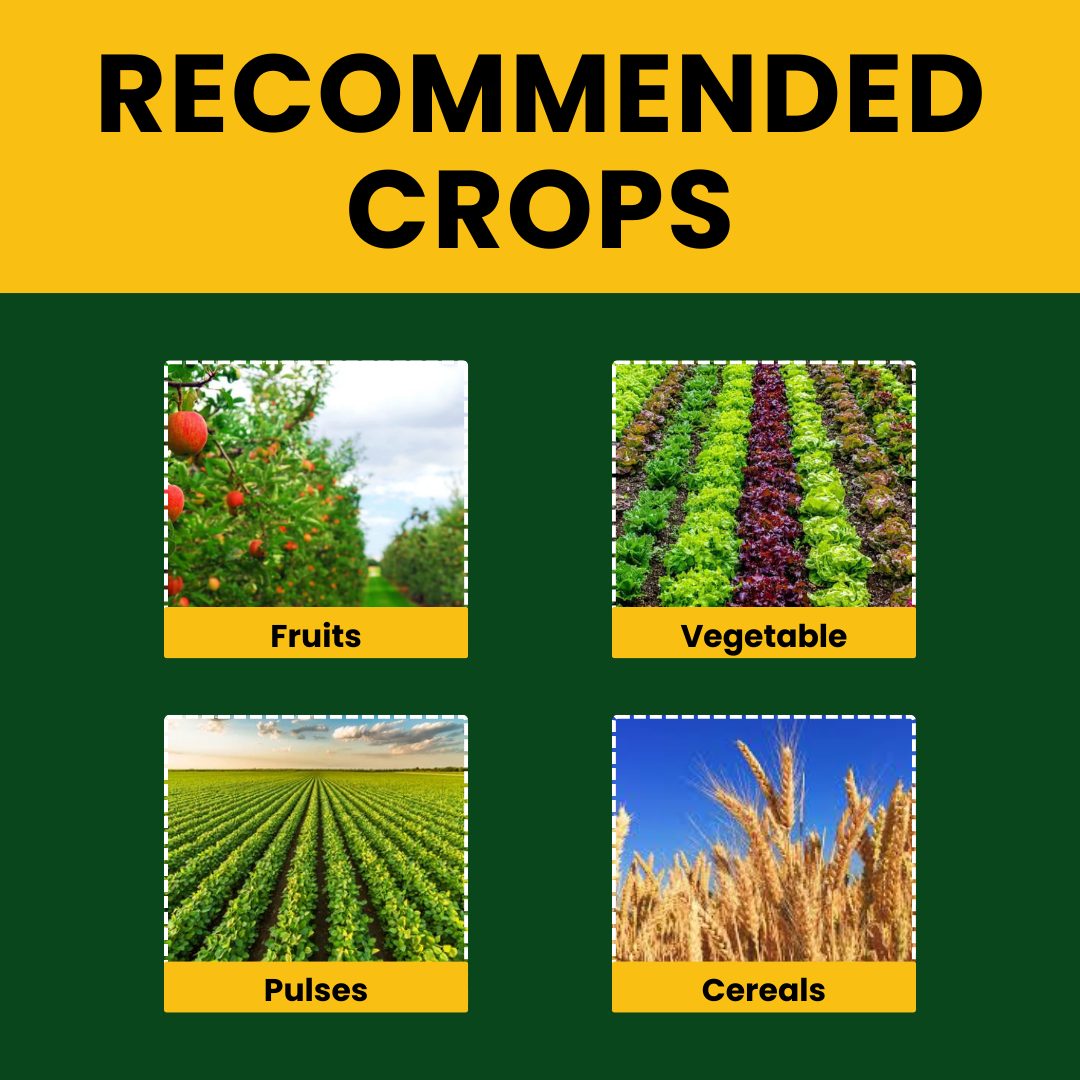 Katyayani Seaweed Extract Liquid