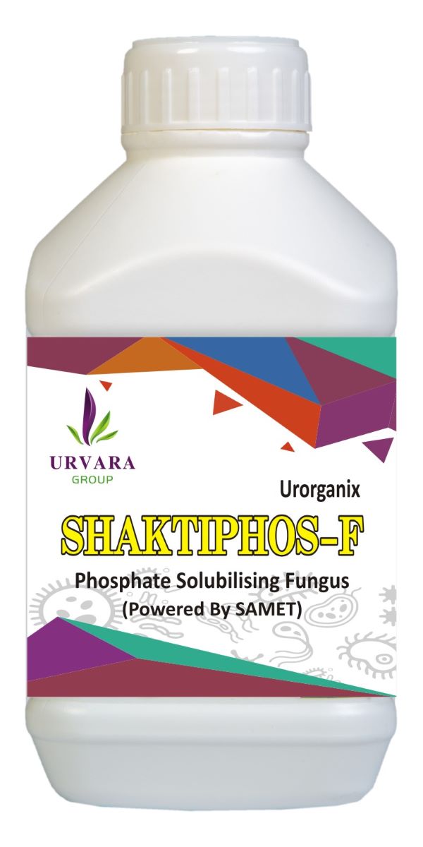 Shaktiphos F - Phosphate Solubilizing Fungus