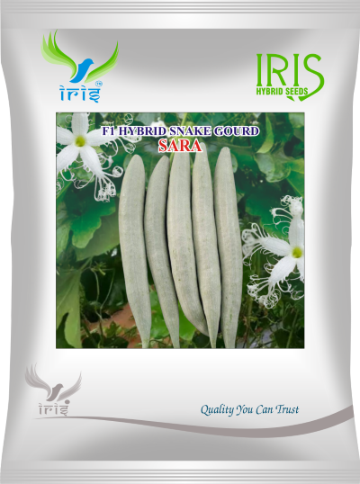 Snakegourd F1 Iris Sara 50 grams