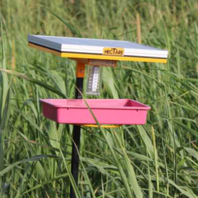 Hectare Solar Insect Trap
