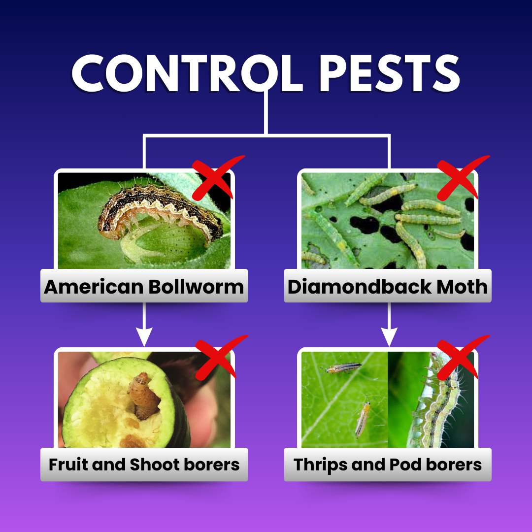 Katyayani Spino45 - Spinosad 45% SC
