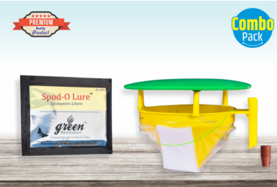 Combo Pack of Funnel Pheromone Trap + Spodo-o Pheromone Lure