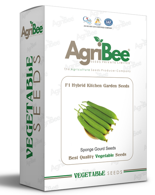 AgriBee F1 SpongeGourd Seeds - 5 grams