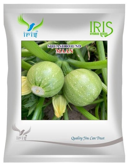 Squash Round OP Iris Maan