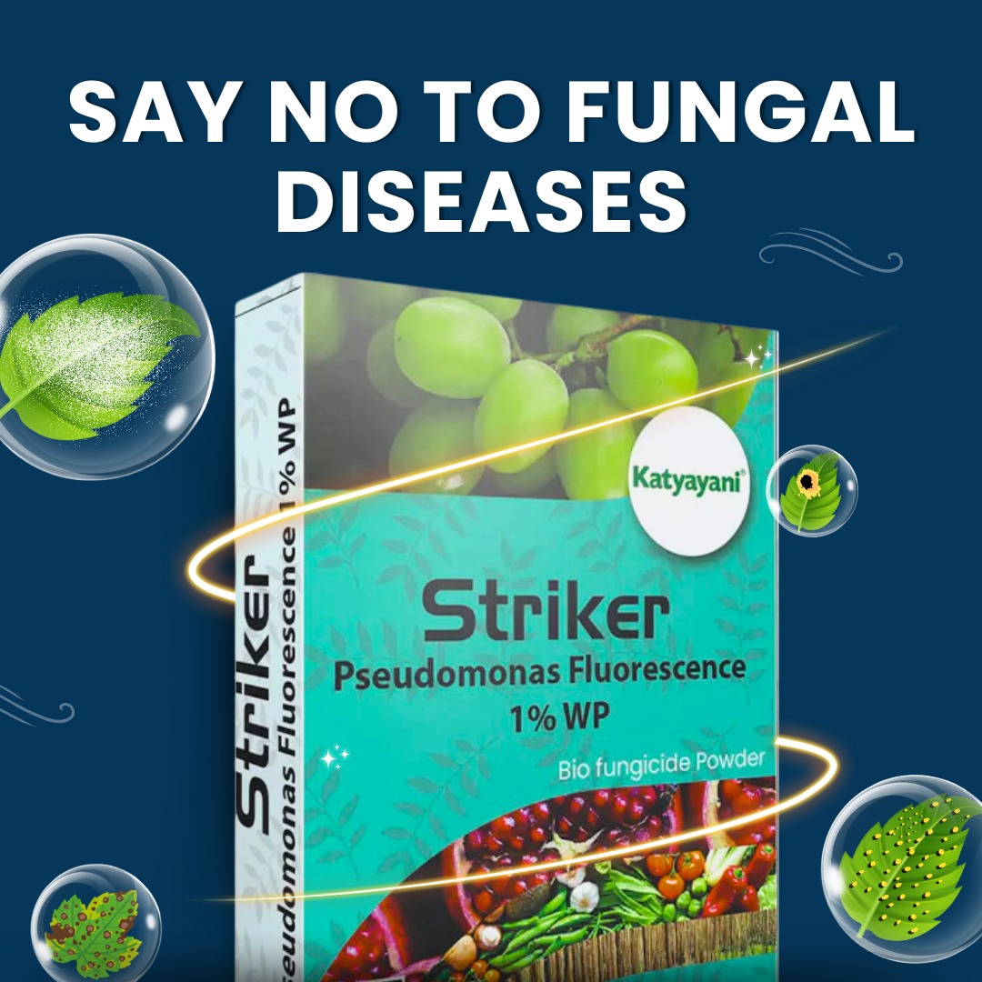 Katyayani Striker - Pseudomonas Fluorescence - Bio Fungicide